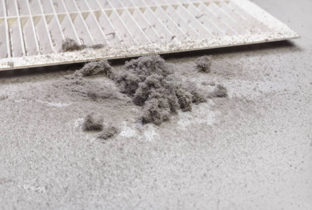 Best Best Air Duct Cleaning Company  in Coon Rapids, MN