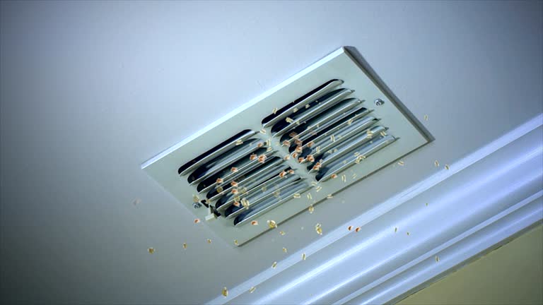 Best Air Duct Cleaning Near Me  in Coon Rapids, MN